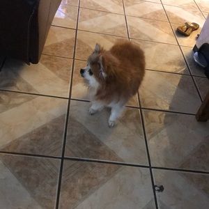 Meet your Posher, Mabry